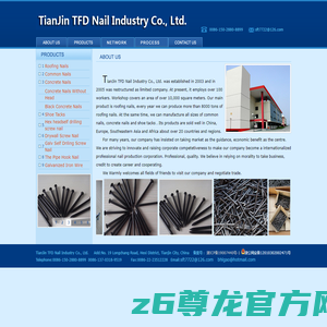 Roofing Nails: Made in China, by TianJin TFD Nail Industry Co., Ltd.